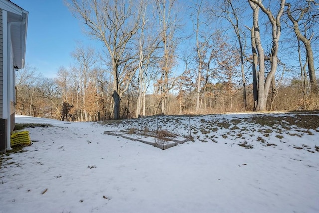 view of snowy yard