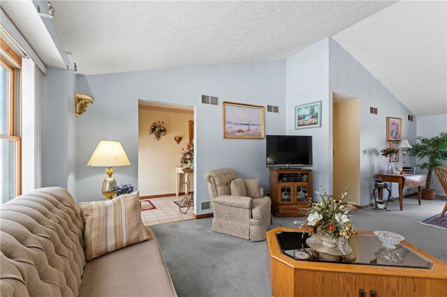 105 Lawrence Dr, Brighton Twp, PA 15009 - carpeted living room featuring vaulted ceiling, baseboards, and a textured ceiling