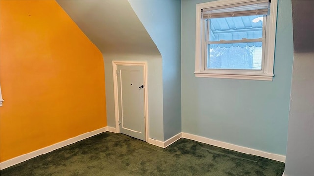 bonus room with dark carpet