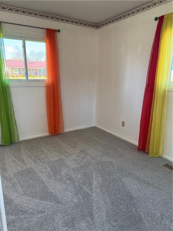 spare room featuring carpet floors