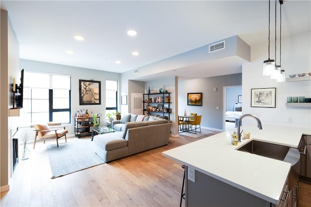 living room with light hardwood / wood-style floors and sink