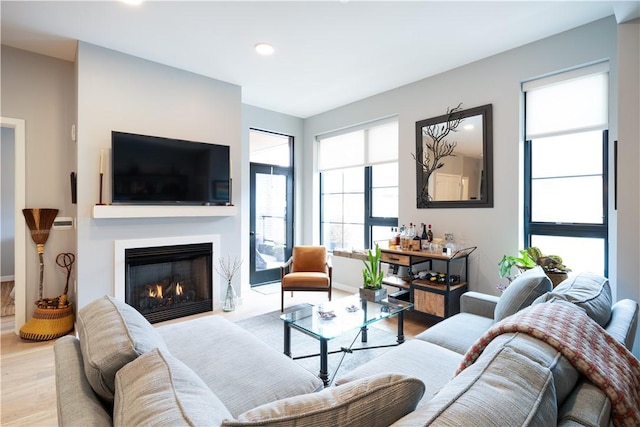 living room with hardwood / wood-style flooring