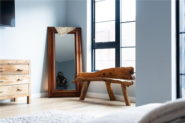 living area featuring hardwood / wood-style flooring