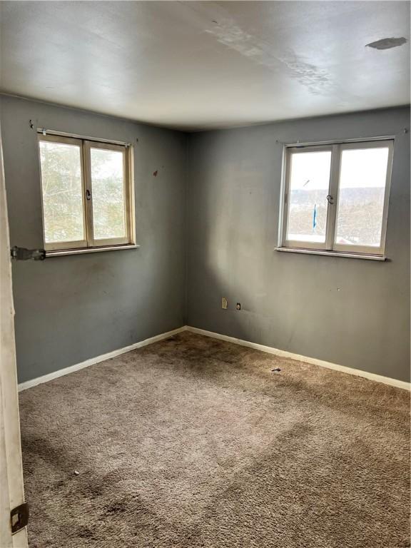 empty room with carpet flooring and a wealth of natural light