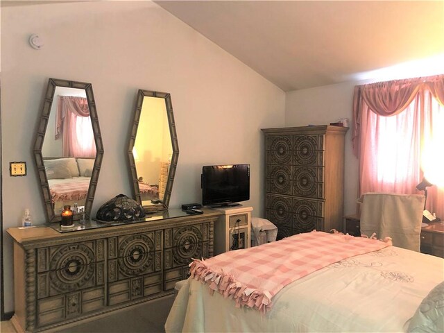 bedroom featuring vaulted ceiling