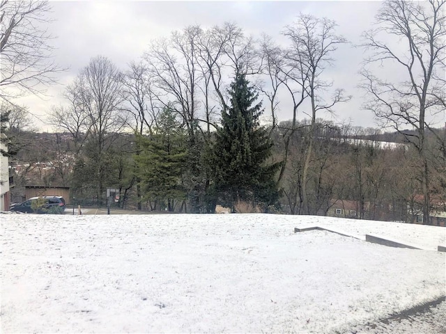 view of yard layered in snow