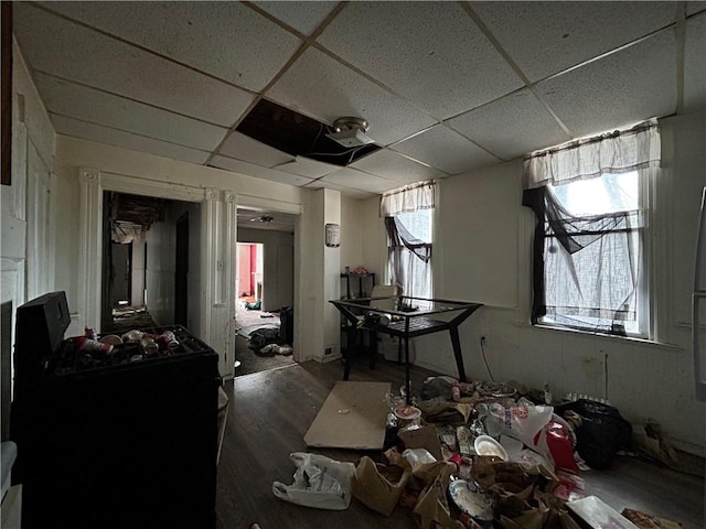 misc room featuring a drop ceiling and dark hardwood / wood-style flooring