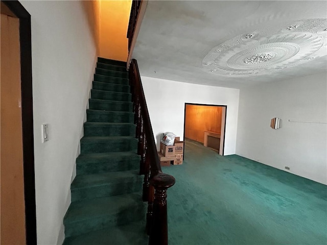 stairs featuring carpet floors