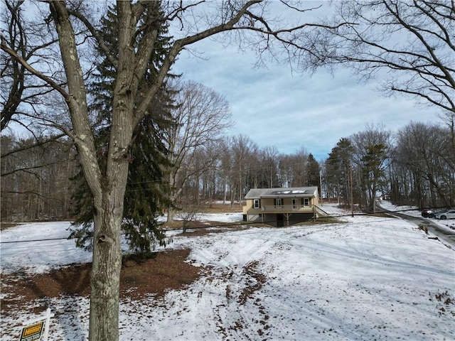 view of snowy yard