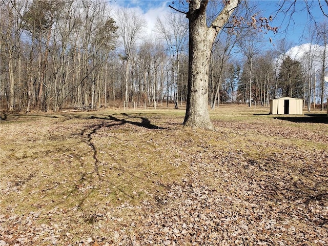 view of yard with a shed