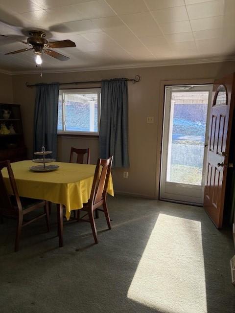 dining area with crown molding, a healthy amount of sunlight, and dark colored carpet