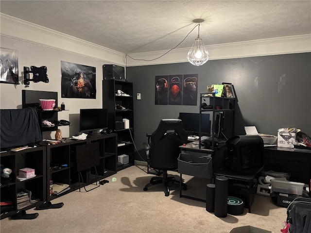 home office featuring crown molding, carpet, and a textured ceiling