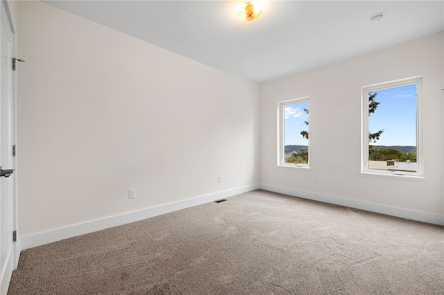 spare room featuring carpet