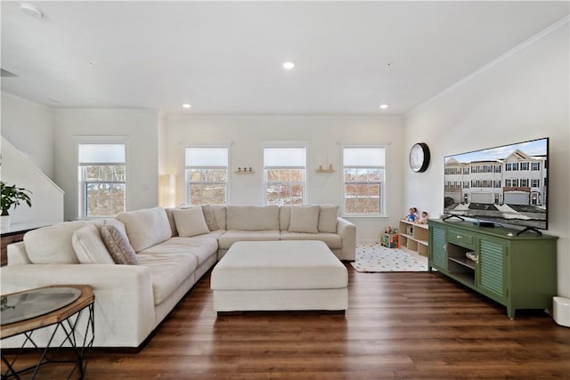 living room with a healthy amount of sunlight, dark wood-type flooring, and crown molding