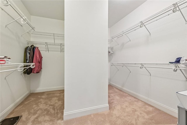 spacious closet with light carpet