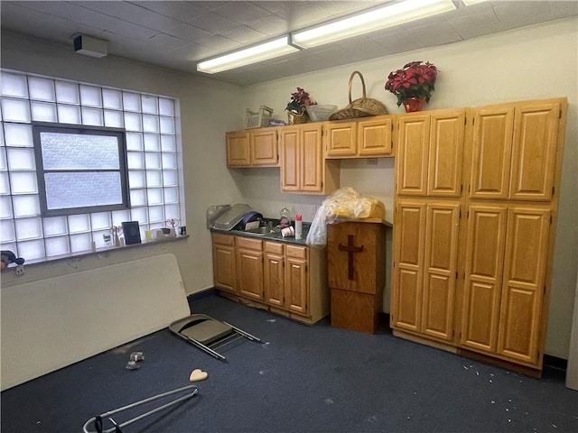 kitchen featuring dark carpet