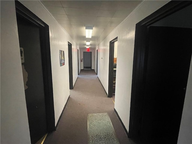 hallway featuring light carpet