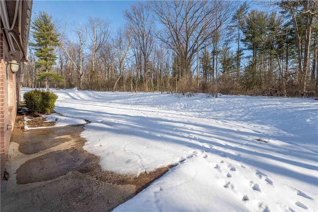 view of yard covered in snow