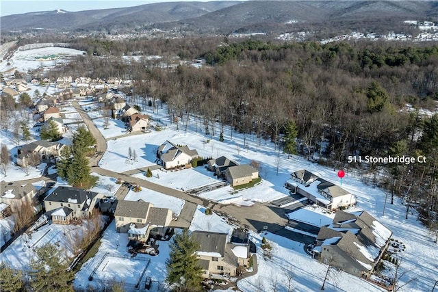 snowy aerial view featuring a mountain view