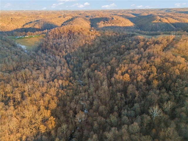 property view of mountains