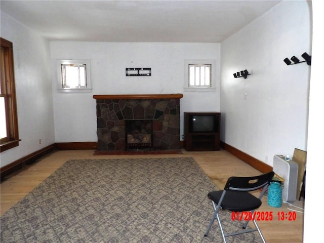 living room featuring a fireplace and light wood-type flooring