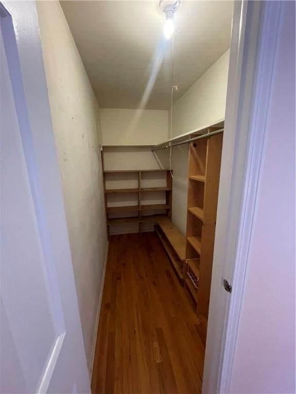 spacious closet with wood-type flooring