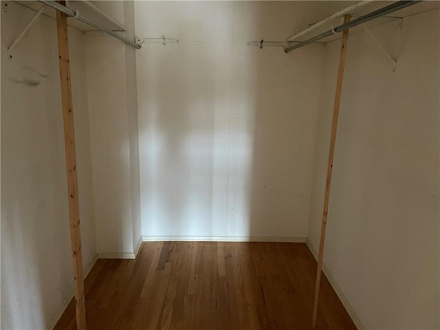 walk in closet with hardwood / wood-style flooring