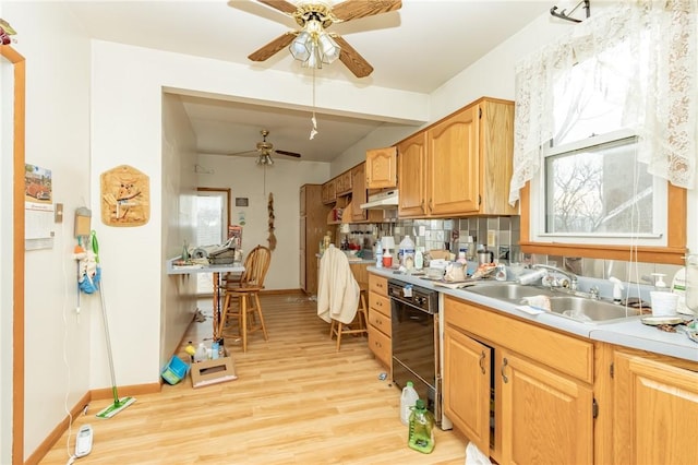 kitchen featuring sink, light hardwood / wood-style flooring, ceiling fan, black dishwasher, and decorative backsplash