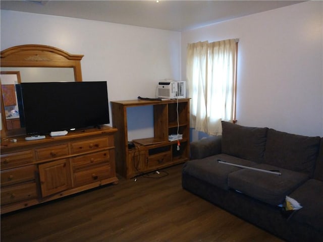 living room with dark hardwood / wood-style flooring