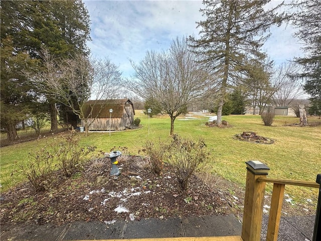 view of yard featuring a storage shed