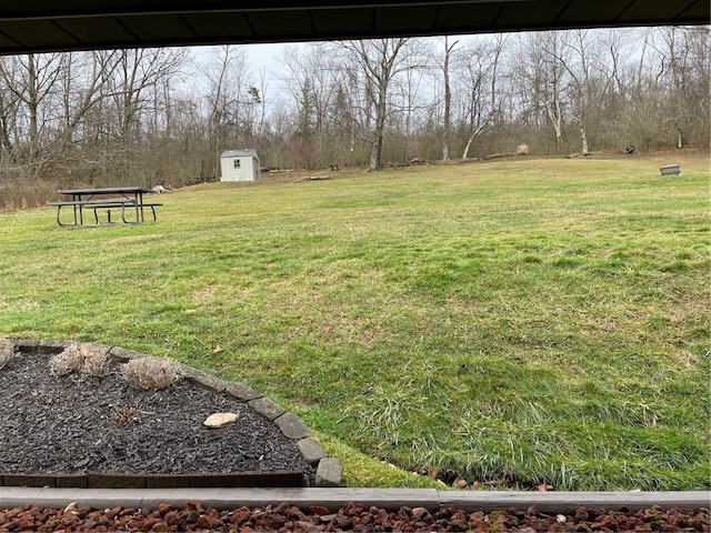 view of yard featuring a storage unit