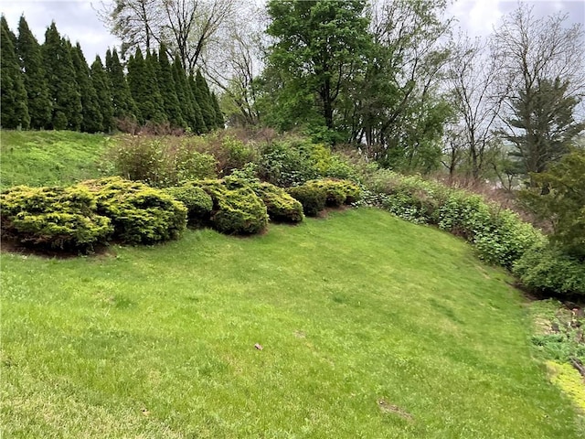 125 Webster St, Rochester Twp, PA 15074