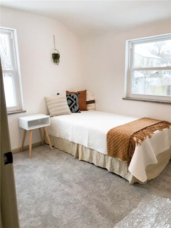 bedroom with carpet flooring