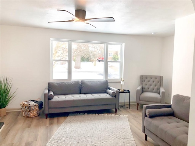 living room with ceiling fan and light wood-type flooring