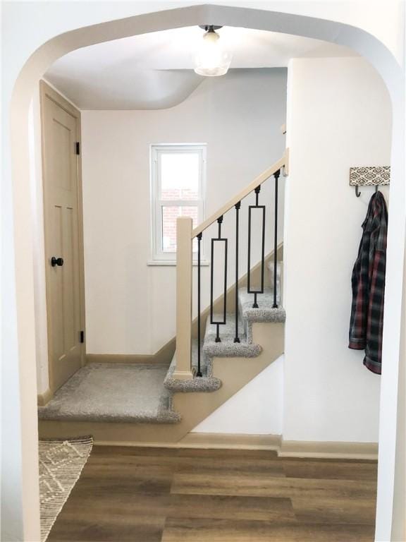 stairway with hardwood / wood-style flooring