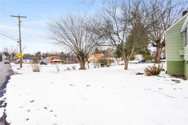 view of yard covered in snow