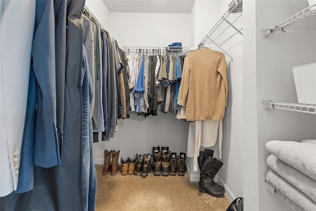 view of spacious closet