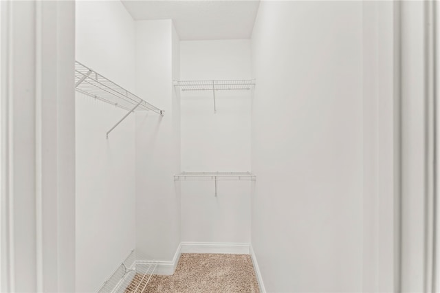 walk in closet featuring carpet floors