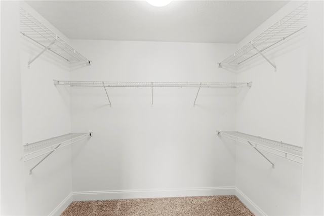 spacious closet with carpet flooring