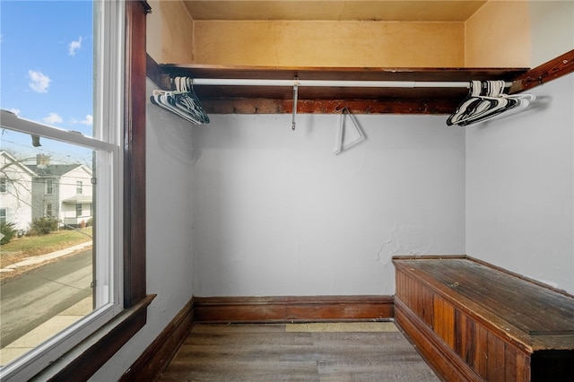 spacious closet featuring hardwood / wood-style flooring