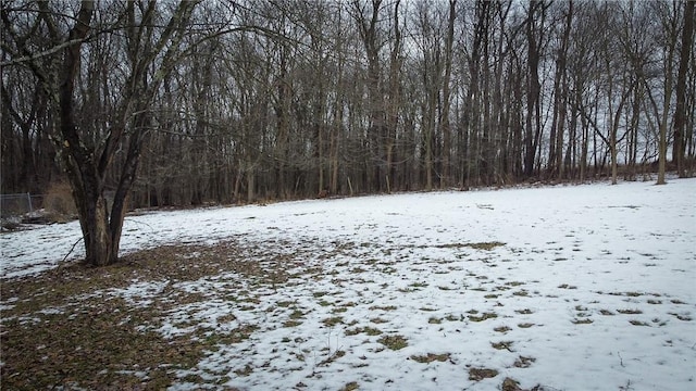 view of yard layered in snow