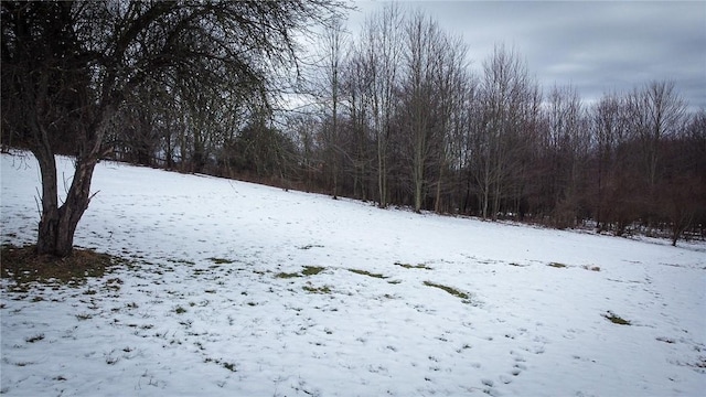 view of yard covered in snow