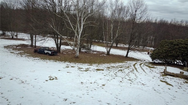 view of yard layered in snow