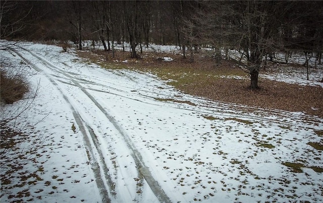 view of yard layered in snow