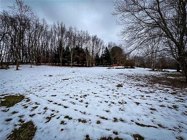 view of snowy yard