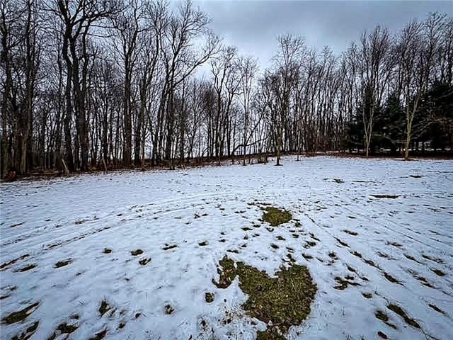 view of yard covered in snow