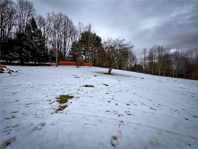 view of yard covered in snow