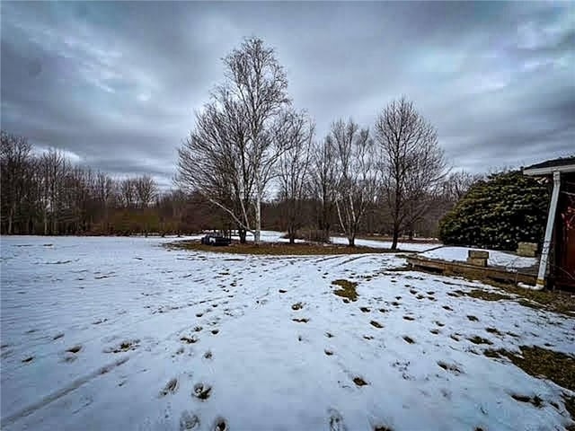 view of snowy yard