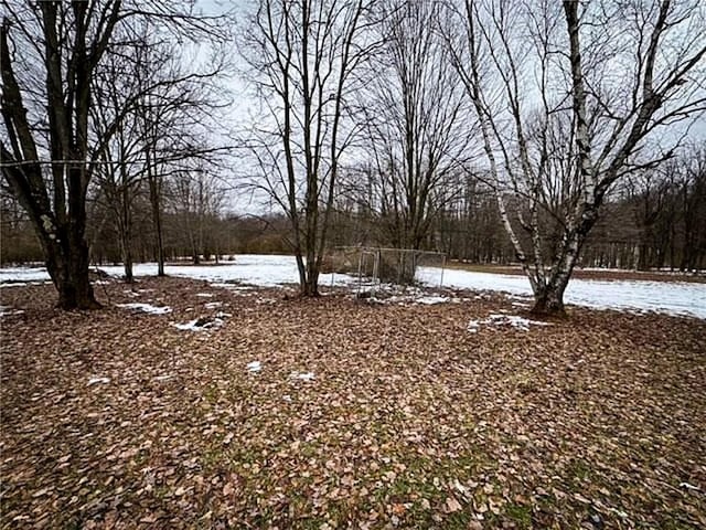 view of snowy yard