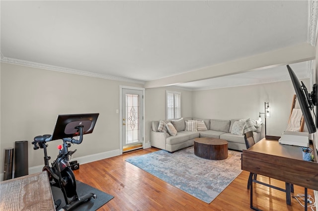 living room featuring wood-type flooring and crown molding